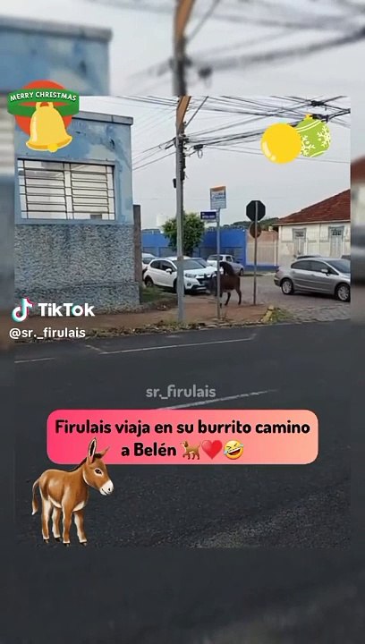 ¡Insólito! Perrito se vuelve viral en TikTok al montar un burro en plena calle: "Va en camino a Belén"