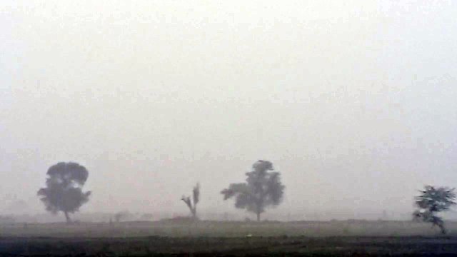 प्रदेश में कड़ाके की सर्दी का दौर, घना कोहरा