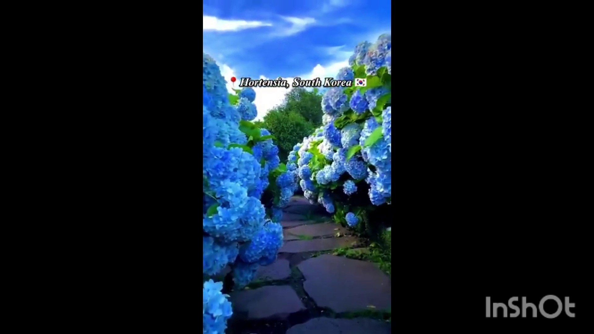 Places travel videos