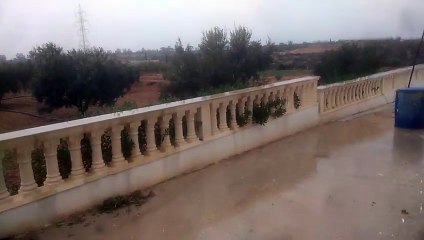 الغيث النافع