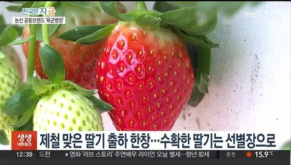 논산에서 온 '육군병장'이면 안심하고 드세요