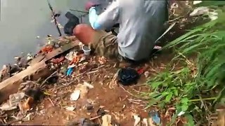 Cara Mancing Mujair Nila Pakai Umpan Lumut - Mancing Ikan Mujair - Fawwaz