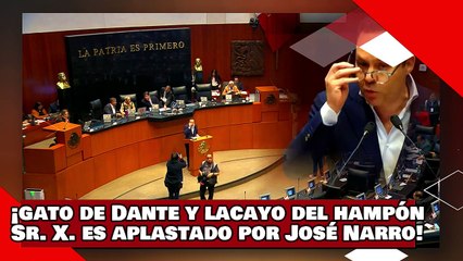 ¡VEAN! ¡gato del cacique Dante y lacayo del hampón Claudio X. González es aplastado por José Narro!