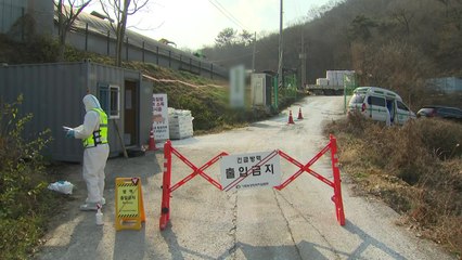 충남 아산 산란계 농장에서 조류인플루엔자 항원 검출..."고병원성인지 확인 중" / YTN