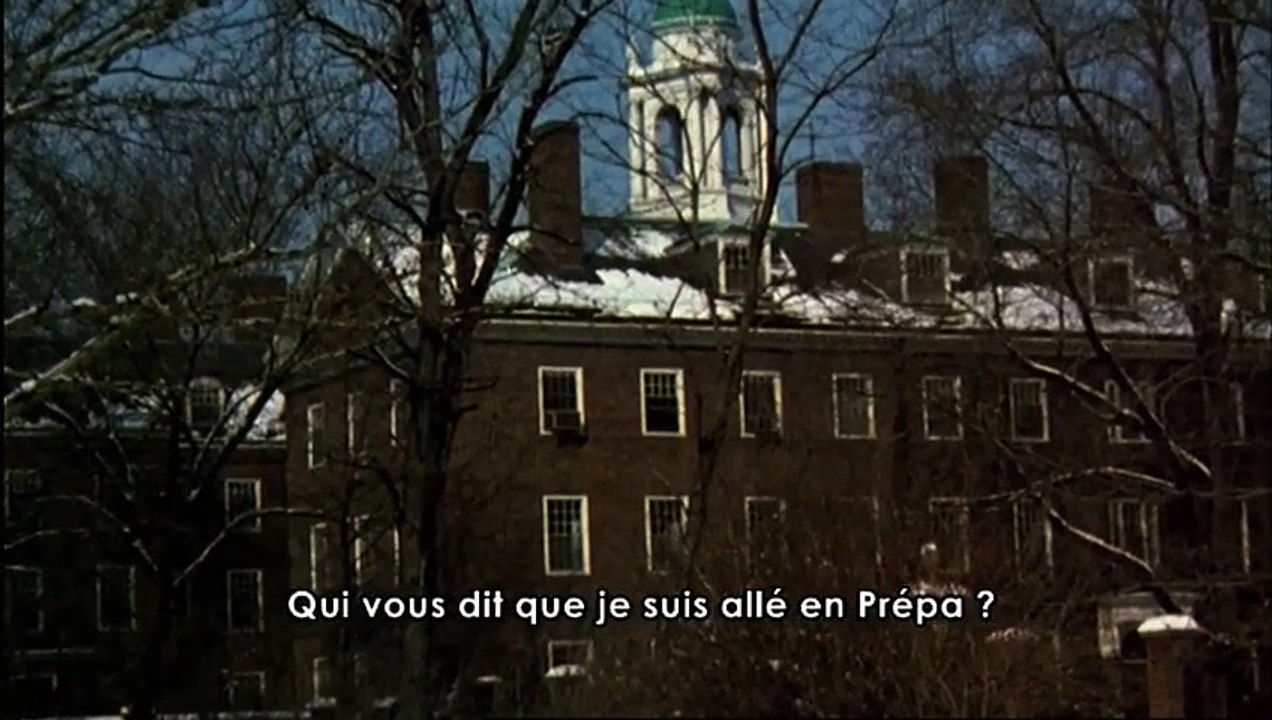 LOVE STORY   bande-annonce - sortie cinéma le 10 février 2010