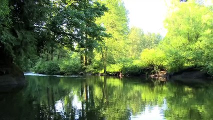 Bigfoot vs. D.B. Cooper Bande-annonce (EN)