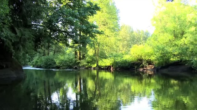 Bigfoot vs. D.B. Cooper Bande-annonce (EN)