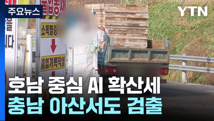 호남서 시작된 AI 확산세...충남 아산서도 검출 / YTN