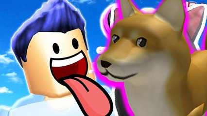 Hayvanat Bahçesi Kuruyoruz !! | Roblox Zoo Tycoon #2