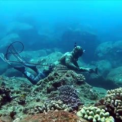 Professional Hand Spearfishing in Hawaii!