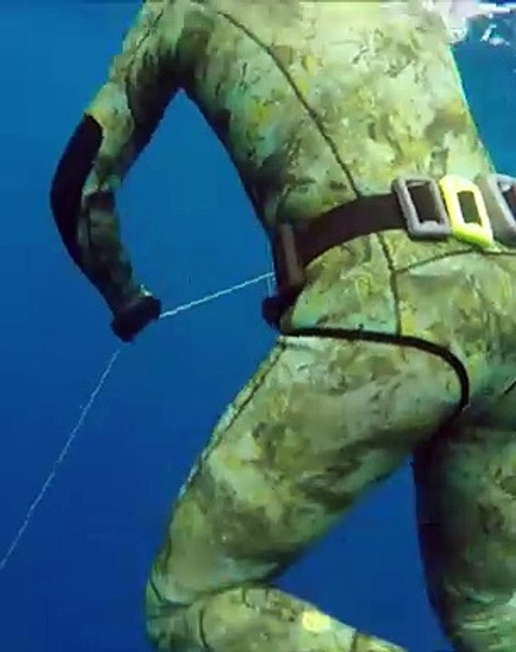 Spearfishing with Sharks!