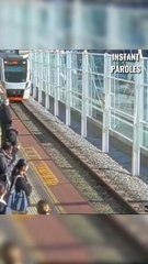 Toutes ces personnes se mobilisent pour pouvoir pousser ce train