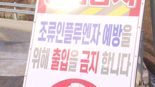 김제 산란계 농장서 고병원성 AI 확인...호남만 5곳 / YTN