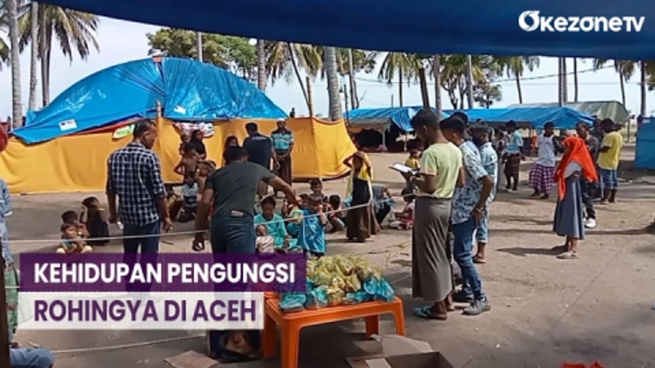 Melihat Kehidupan 227 Pengungsi Rohingya di Bawah Tenda Darurat di Pidie Aceh