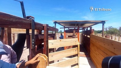 La Candelaria: Inauguraron el primer corral comunitario de la provincia