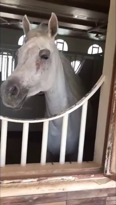 فلوق رحلة الى مزرعة الحديبية   فلوق رحلة الى مزرعة الحديبية A trip to the Hudaybiyah Farm in Mecca