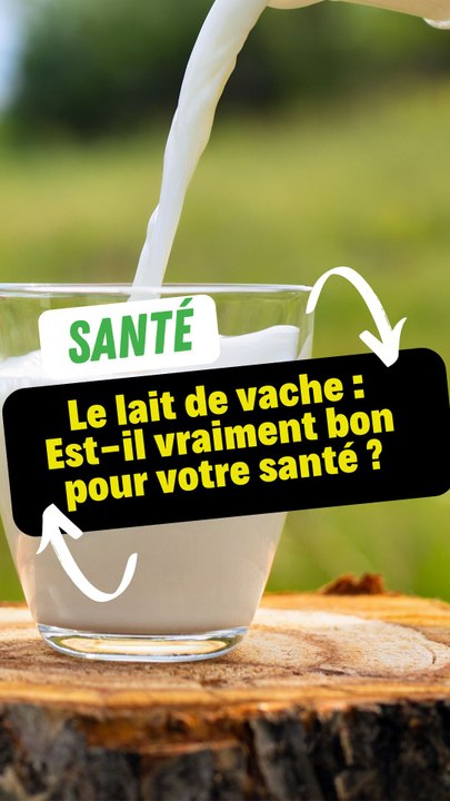 Le lait de vache : Est-il vraiment bon pour votre santé ?
