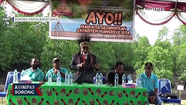 Dinas P2KP Prioritaskan Program Penanaman Mangrove