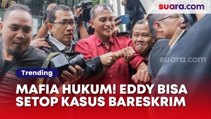 Eks Wamenkumham Eddy Hiariej Bisa Setop Kasus di Bareskrim, Pimpinan KPK: Ini Istilahnya Mafia Hukum!
