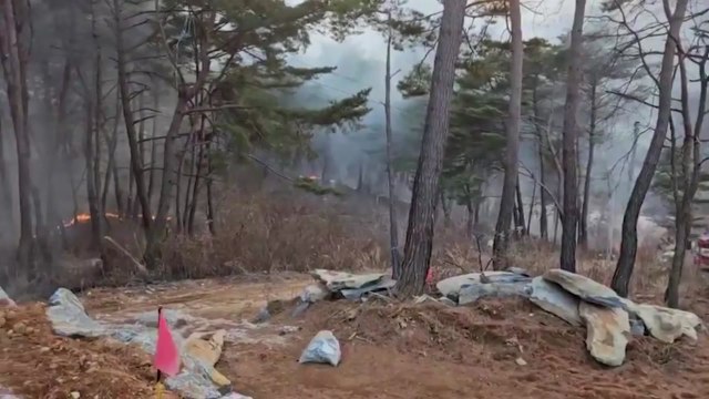 강원도 정선 산불 1시간여 만에 진화...쓰레기 소각 원인 / YTN