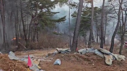 강원도 정선 산불 1시간여 만에 진화...쓰레기 소각 원인 / YTN