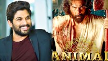 Allu Arjun Praises Ranbir Kapoor Starrer Animal- Calls It A Cinematic Brilliance!