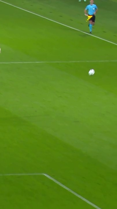 تمرية جميلة Barcelona