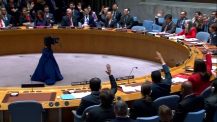 كم مرة استخدمت أميركا الفيتو دعما لإسرائيل وإجهاضا لحقوق الفلسطينيين