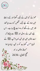 Daily Hadees | Hadees Sharif | Sahih Bukhari 2636 || Daily Blink #shorts #viral #sahihbukhari