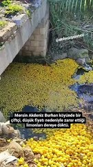 Zarar ettiğini söyleyen çiftçi, limonları dereye döktü