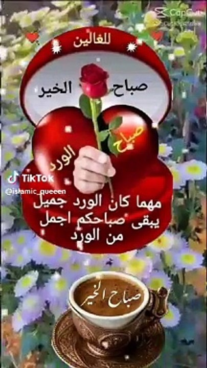 VID-20231203-WA0009حالات صباحيه