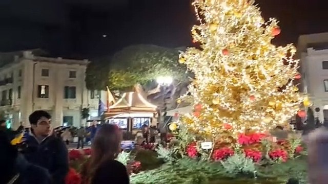 Gli alberi a festa hanno acceso il Natale a Messina
