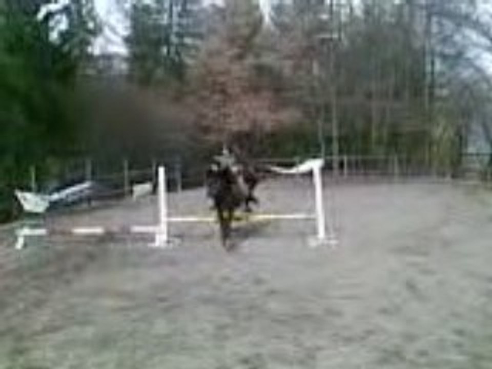 Fino saut re