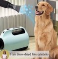Power Hair Dryer for Dogs Pet Dog Cat Grooming Blower Warm Wind Fast Blow-dryer 2000w for Small Medium Large Dog Dryer