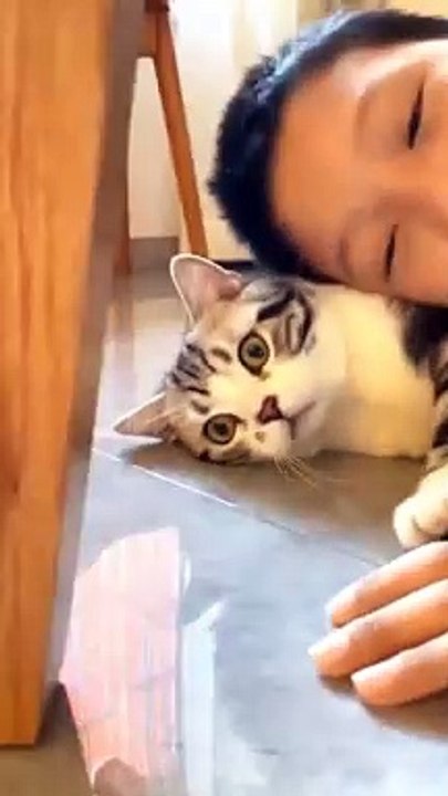 Pet Animals