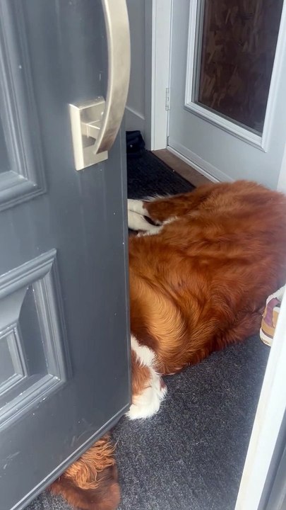 Walter In The Way
