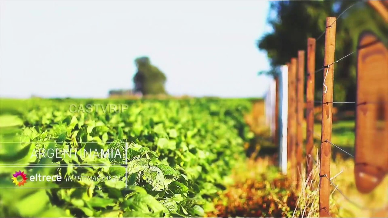 El Trece Satelital segunda versión de continuidad de El Trece Internacional + Fin de Transmisión