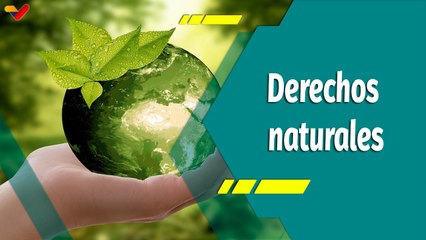Punto Verde | Derechos naturales de la Madre Tierra