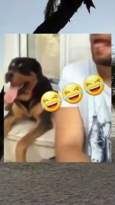 Try Not to laugh 