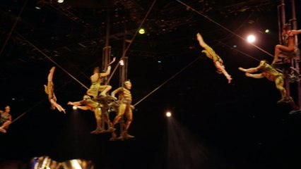 OVO Voltige Cirque du Soleil