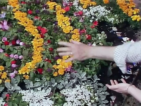 Nineties Eastenders (9th July 1991)