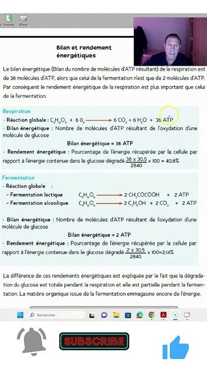 rendement2