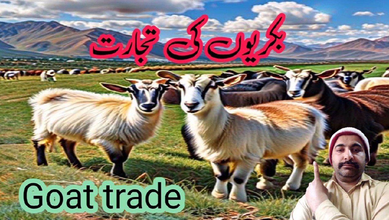 |Hadith for trading goats|Hadees voice over with Aqeel |hadise nabvi Sallallahu Alaihi Wasallam |