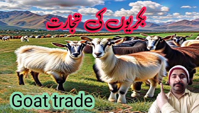 |Hadith for trading goats|Hadees voice over with Aqeel |hadise nabvi Sallallahu Alaihi Wasallam |