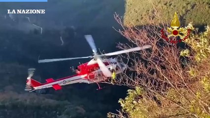 Descargar video: Cane finisce in un dirupo, salvato dai vigili del fuoco