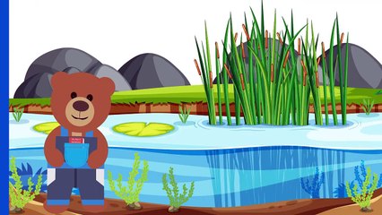 Kids Learn To Count With Beary At The Duck Pond