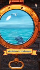 Dolphin Wisdom Inspiring Lessons for Humanity :