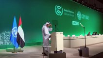 Presidente da COP28 admite 'progresso lento' nas negociações climáticas