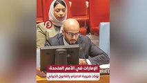 الإمارات في الأمم المتحدة: نؤكد ضرورة الالتزام بالقانون الدولي
