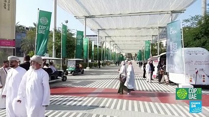 Tensiones con la OPEP en el marco de la cumbre climática COP28